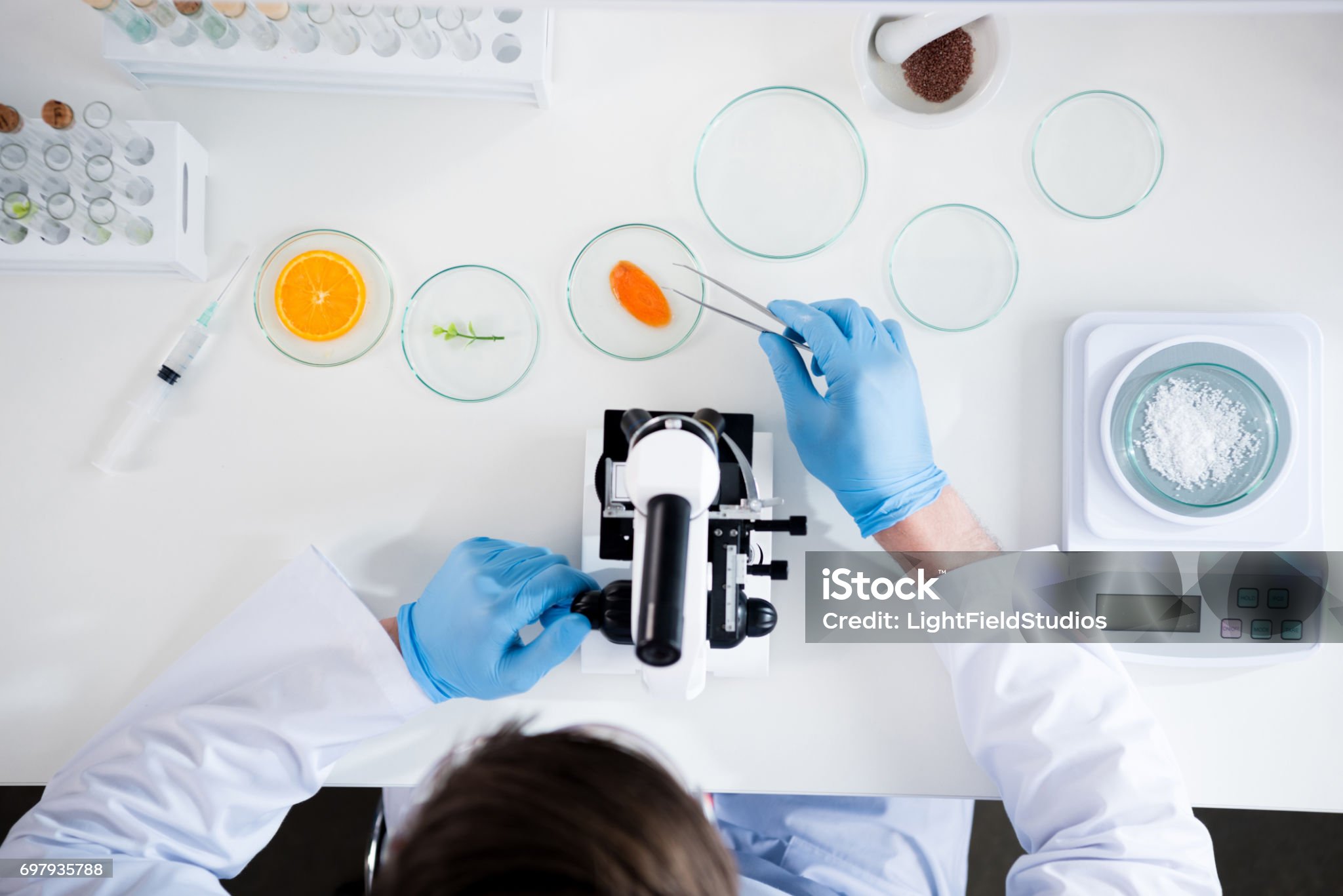 Male scientist during work at modern biological laboratory